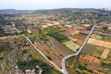 Renkli tarım alanlarının havadan görünüşü. Doğanın kırsal kesimi