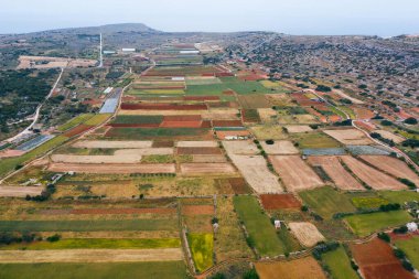 Yeşil renkli tarım alanlarının havadan görünüşü. Doğa manzarası işte. Malta 