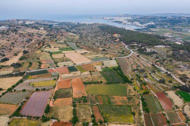 Yeşil renkli tarım alanlarının havadan görünüşü. Doğa manzarası işte. Malta adası