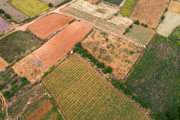 Vista Aérea Los Campos Agrícolas Naturaleza Paisaje Rural Textura — Foto de Stock