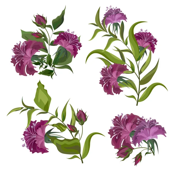Vector fuchsia flowers. All elements are isolated. — Stock Vector