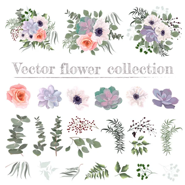 Vector set of succulents and plants. Compositions of plants. Plants isolated on a white background. Succulents, pink roses, white anemones, eucalyptus, berries, leaves, plants. Elements for floral des — Stockvektor