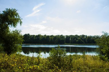 Web ve örümcek parkta