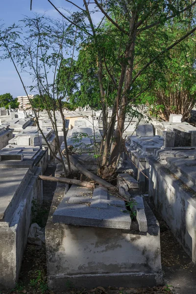 쿠바의 아바나 - 2013 년 1 월 8 일: 쿠바의 아바나 묘지. — 스톡 사진