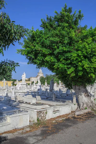 Havana, Cuba - 08 de janeiro de 2013: O cemitério de Havana em Cuba . — Fotografia de Stock