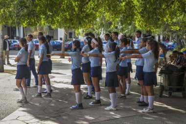 Havana, Küba - 24 Ocak 2013: Havana sokaklarının ve meydanlarının manzarası.