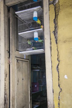  Havana, Küba - 21 Ocak 2013: Meydan ve cadde şehir merkezi manzarası