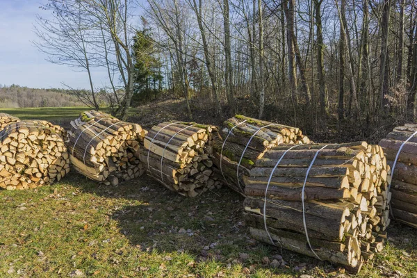Řezání, štípání dřeva, kmeny leží na louce. — Stock fotografie