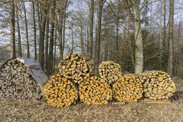 Piła, rozszczepione drewno, pnie leżą na łące. — Zdjęcie stockowe