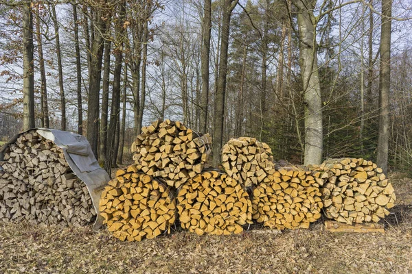 Řezání, štípání dřeva, kmeny leží na louce. — Stock fotografie