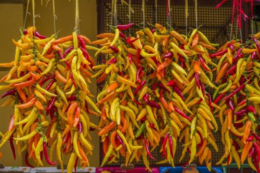 Napoli, Sorrento İtalya - 10 Ağustos 2015: Sorrento şehrinin manzarası.