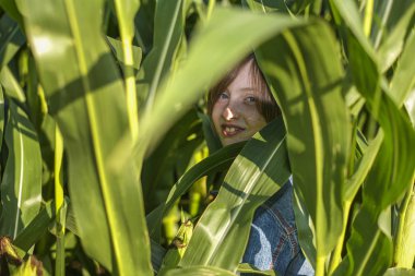Küçük bir kız mısır tarlasında saklanıyor..