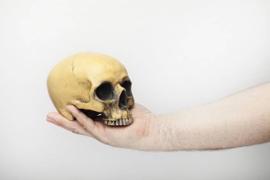 Erkek eli bir insan kafatasını tutar.
