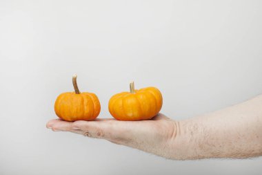 Erkek eli balkabağını tutar