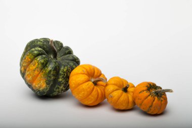 Masada bir sürü renkli balkabağı vardı. Arkaplan olarak renkli balkabağı, duvar kağıdı.