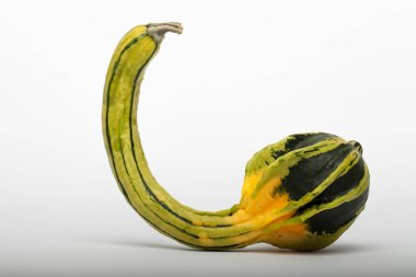 Masada bir sürü renkli balkabağı vardı. Arkaplan olarak renkli balkabağı, duvar kağıdı.