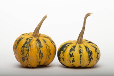 Masada bir sürü renkli balkabağı vardı. Arkaplan olarak renkli balkabağı, duvar kağıdı.