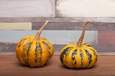 Masada bir sürü renkli balkabağı vardı. Arkaplan olarak renkli balkabağı, duvar kağıdı.