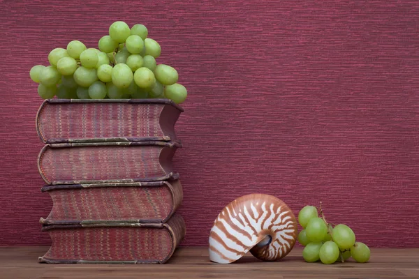 Old books and grapes, nautilus — Stock Photo, Image