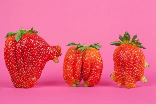 Erdbeeren isoliert auf rosa Hintergrund — Stockfoto