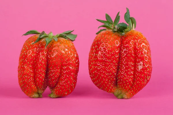 Erdbeeren isoliert auf rosa Hintergrund — Stockfoto