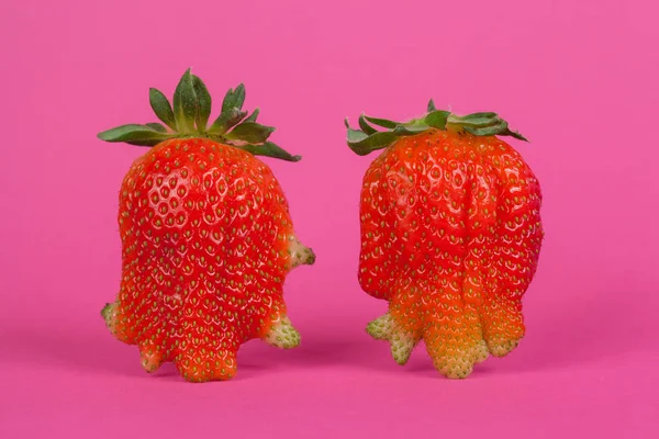 Erdbeeren isoliert auf rosa Hintergrund — Stockfoto
