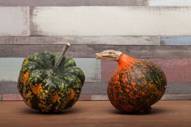 Masada bir sürü renkli balkabağı vardı. Arkaplan olarak renkli balkabağı, duvar kağıdı.