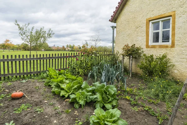 Bad Windsheim, Almanya - 16 Ekim 2019: Bir Alman köyünde yarım keresteli bir evden görüntü.