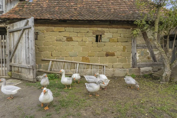 Bad Windsheim, Alemania - 16 de octubre de 2019: Vista desde una casa de entramado de madera en un pueblo alemán . — Foto de Stock