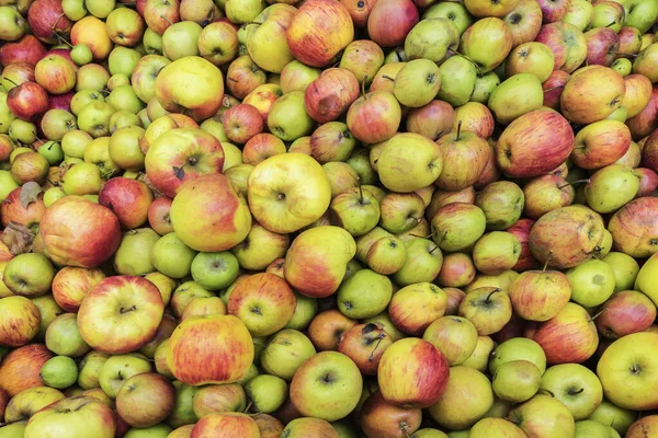 Schwaebisch Hall, Wackershofen, Germany - 15 October 2019: View on the apples, apple, for the fruit juice or apple juice — Stock Photo, Image