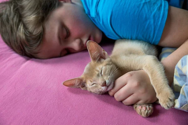 Bir çocuk bir kedi yavrusuyla yatıyor, Habeş geyiği.
