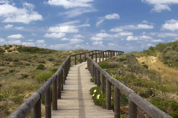 木制的走道通往 bordeira 海滩，阿尔加维，葡萄牙 — 图库照片