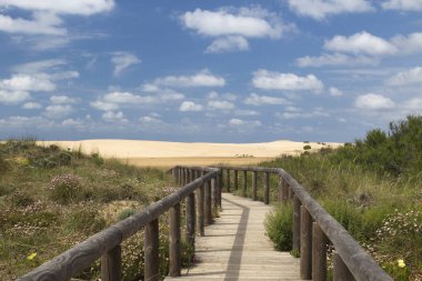 bordeira beach, algarve, Portekiz için önde gelen ahşap yürüme yolu