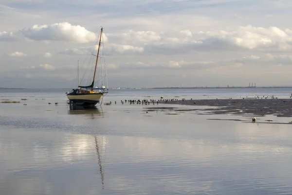 Boote und Vögel im alten Leigh, Leigh-on-Sea, essex, england — Stockfoto