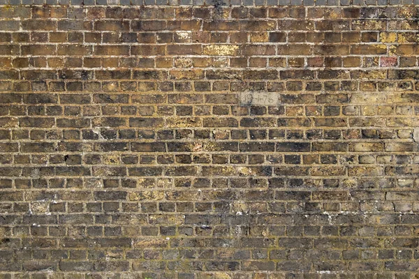 Colour Texture Brick Wall — Stock Photo, Image