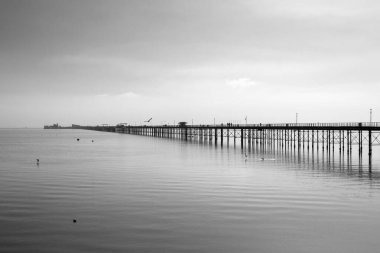 Southend Pier, Southend-on-Sea, Essex, İngiltere 'nin siyah beyaz görüntüsü