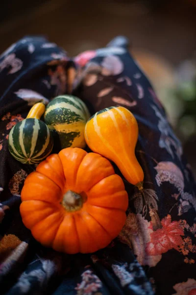 Halloween Zucca Decorazione Vacanza — Foto Stock