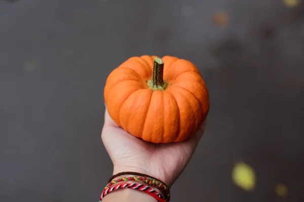 Halloween Dýně Dovolená Dekorace — Stock fotografie