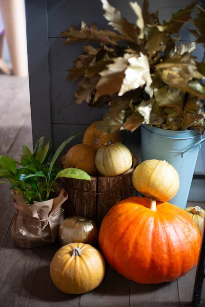 Halloween Dýně Dovolená Dekorace — Stock fotografie