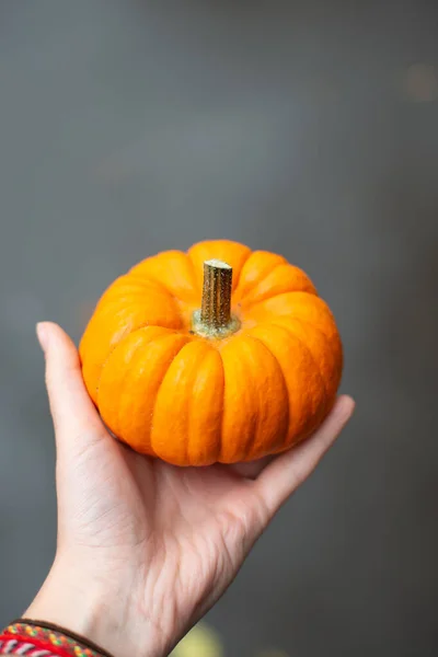 Halloween Dýně Dovolená Dekorace — Stock fotografie