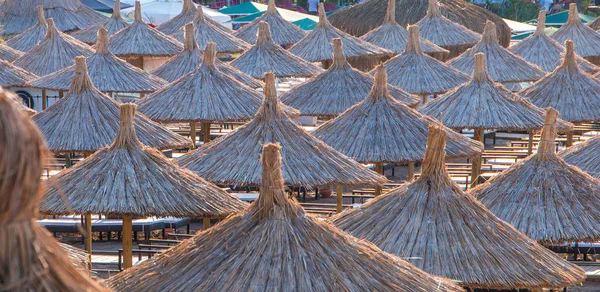 Sombrillas de caña en una playa —  Fotos de Stock