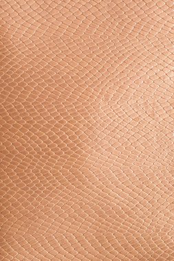 Altın piton derisi. Hakiki deri dokusu.