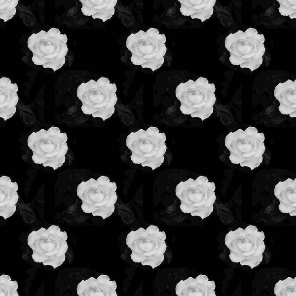 Белые розы цветы с листьями на черном фоне. Квартира лежала, вид сверху. Бесшовный рисунок . — стоковое фото