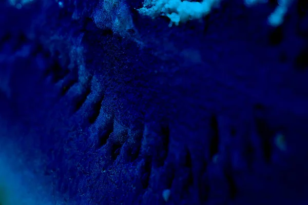 El fondo azul fantasma - el trozo grande jugoso fresco de la sandía madura. Cosecha fresca de verano. Primer plano. Enfoque selectivo —  Fotos de Stock