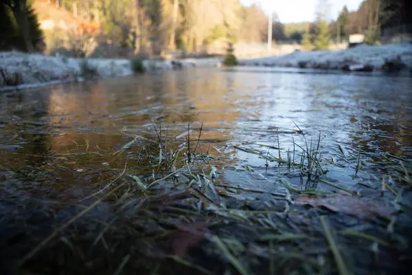 Paisaje Invernal Naturaleza Hielo Escarcha —  Fotos de Stock