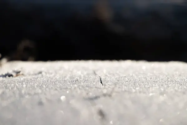 Vinterlandskap Natur Frost — Stockfoto