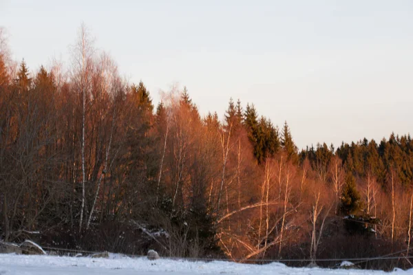 Hory Příroda Zima Sníh Východ Slunce — Stock fotografie