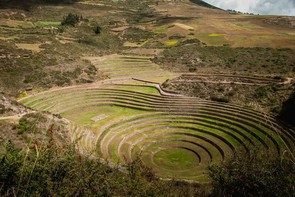 Terrasse Von Moray Cusco Valle Sagrado Peru — Stockfoto