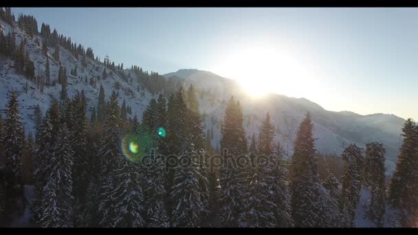 Vuelo de invierno en montañas nevadas con árboles en Almaty, Kazajstán — Vídeo de stock