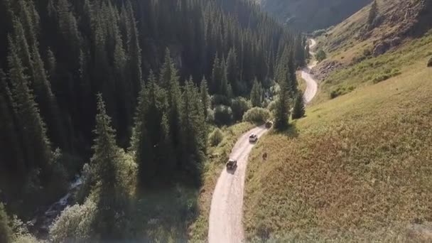 Mountain road, Aerial footage. Car travel — Stock Video